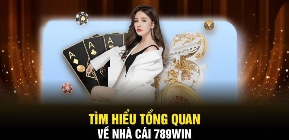 giới thiệu tổng quan về nhà cái 789win